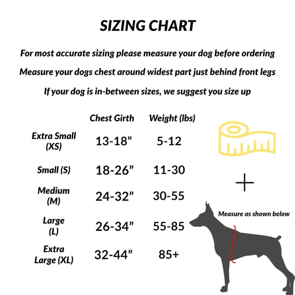 NWOT ShawnCo Essential Dog Harness - Picture 5 of 9